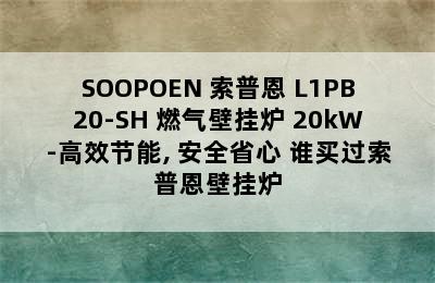 SOOPOEN 索普恩 L1PB20-SH 燃气壁挂炉 20kW-高效节能, 安全省心 谁买过索普恩壁挂炉